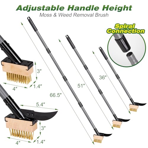 Walensee 66.5in Adjustable 3-in-1 Crack Weeder & Moss Remover Brush Tool