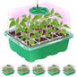 Bonviee Seed Starter Trays with 12-LED Grow Lights, Green, 5 Pack - color: Green, size: 5 Packs