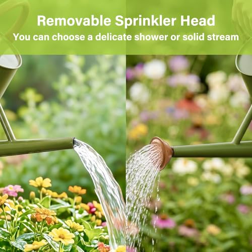 Watering Can for Outdoor&Indoor Plants，1.5 Gallon，Dark Green - color: Dark Green