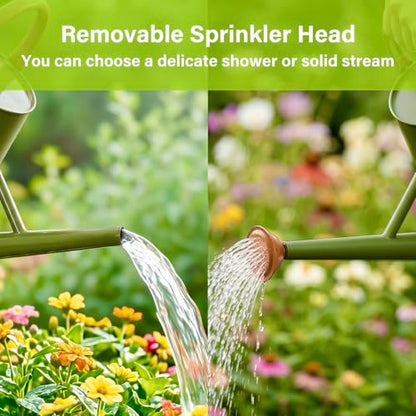 Watering Can for Outdoor&Indoor Plants，1.5 Gallon，Dark Green - color: Dark Green