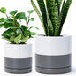 D'vine Dev 2-Pack Ceramic Pots with Saucers, 6/8 in, White/Grey, 94-G-M-6 - color: White/Speckled Grey, size: Medium