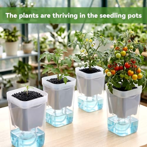 20 Pack 2 Inch Small Self Watering Pots for Indoor Plants - size: 2in
