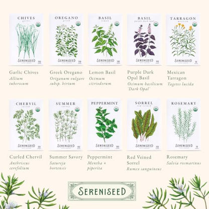 Sereniseed Certified Organic Herb Seeds 35-Pack | Non-GMO Heirloom Variety for Indoor Outdoor Culinary Gardening Gift Kit - size: 35-Pack