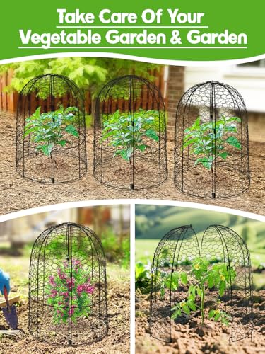 Kalolary 8 Packs Plant Protectors from Animals Large Wire Plants Cage - style: Cloche