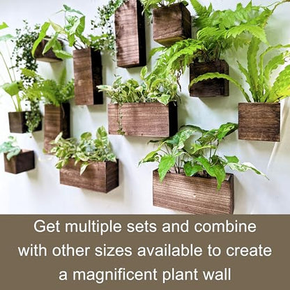 LaLaGreen Wood Planter Box for Plants (6 Pack) Wall Planters for Indoor - size: 6-pc Set A
