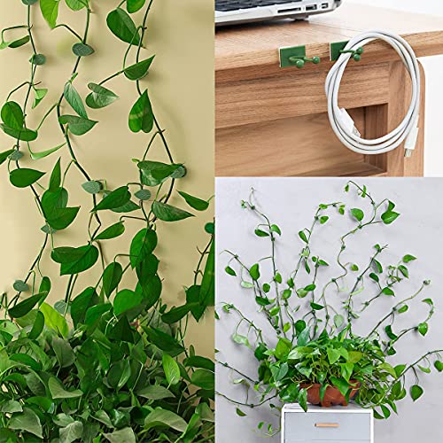 100 Pcs Plant Climbing Wall Fixture Clips, Self-Adhesive Hook for Vines - color: 50Pcs+50Pcs