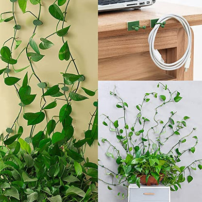 100 Pcs Plant Climbing Wall Fixture Clips, Self-Adhesive Hook for Vines - color: 50Pcs+50Pcs