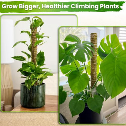 DUSPRO 10Pcs 22'' Natural Stackable Moss Pole for Plants Monstera - color: 10pcs Natural