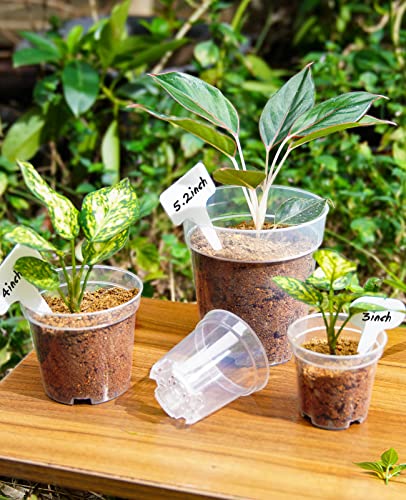 homenote 4 Inch Clear Nursery Pots for Plants with 20 Plant Labels (60 Pcs) - color: Transparency-no Lid, size: 4 Inch-60 Pack