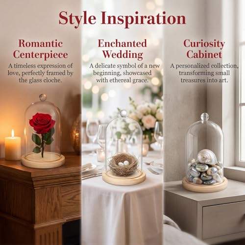 Lyellfe 2 Pack Cloche Glass Dome with Rustic Wooden Base