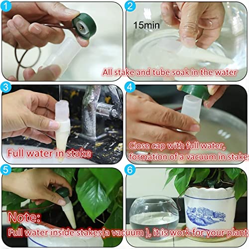 24 Pack Hestya Automatic Plant Self Watering Stakes for Outdoor