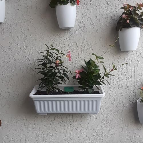 6 Pack 17 Inches Countryside Flower Box Planters, Plastic Vegetable Planters with 30 PCS Plant Labels, White Flower Window Boxes with Attached Tray for Windowsill, Patio, Garden, Balcony… - size: 6 Pack White