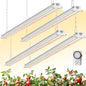 Barrina TX-S60 4FT Grow Light, 240W(4 x 60W, 1680W Equivalent), Timer - color: GrowForce Spectrum, size: 4FT-60W-4P