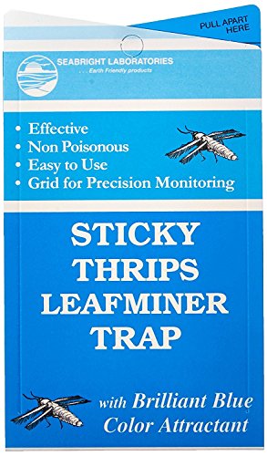 Seabright Sticky Thrips Leafminer Traps (15 pcs) and Yellow Sticky Aphid Whitefly Traps (15pcs)