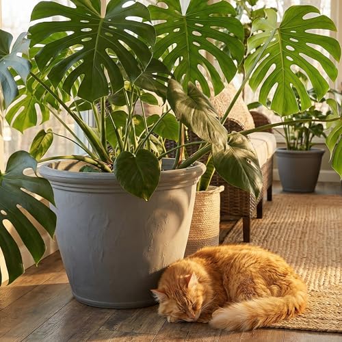 Sunnydaze Anjelica 20'' Large Plastic Planter Pot for Plants, Gray - color: Light Gray, size: 20 in