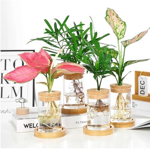 6 Pcs Plant Propagation Terrarium Glass Vase Containers