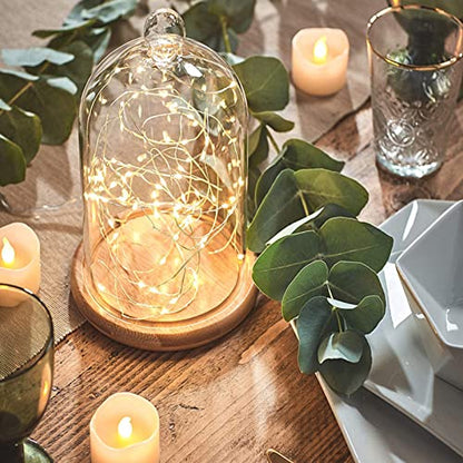 Lyellfe 2 Pack Cloche Glass Dome with Rustic Wooden Base