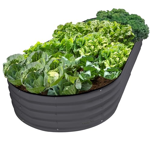 Plant & Plot Galvanized Raised Garden Beds Outdoor // 8×4×1 ft Planter Raised Beds for Gardening, Vegetables, Flowers // Large Metal Garden Box // Patented Tool-Free Design (Gray) - color: Gray, size: 8×4×1 Ft