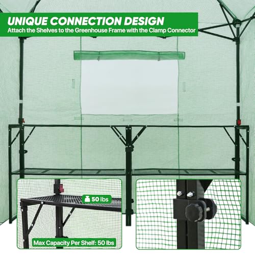 EAGLE PEAK 7x7 Easy Setup Pop Up Greenhouse, 2 Folding Shelves, Clear/Green - color: Clear/Green, size: 7x7