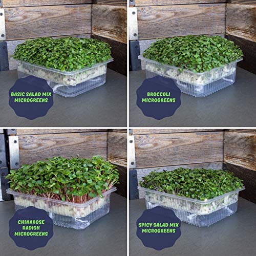 Mountain Valley Seed Co Self-Watering Indoor Microgreen Kit Soil Hydroponic - size: Combo