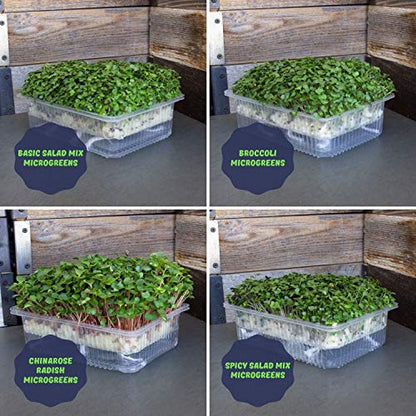 Mountain Valley Seed Co Self-Watering Indoor Microgreen Kit Soil Hydroponic - size: Combo