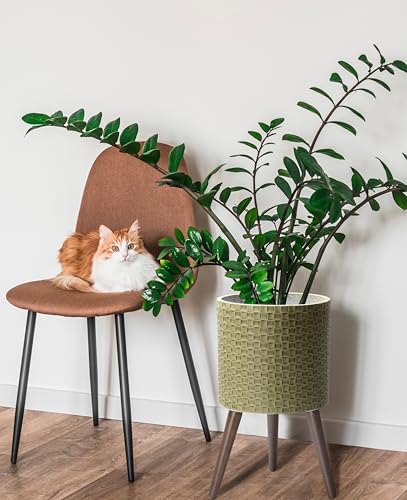 D'vine Dev Planter Pot with Wood Stand, 12 in, Distressed Olive, 88-Z-C-4 - color: Distressed Olive, size: Large