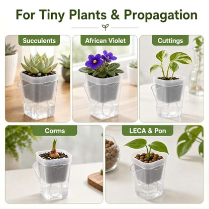 12 Pack 2.5 Inch Clear Self Watering Pots for Indoor Plants