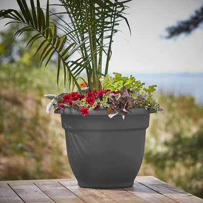Bloem Ariana 10" Plastic Self-Watering Planter, Charcoal, 4-Pack - color: Charcoal, size: 10" (Pack of 4)