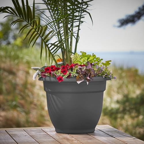 Bloem Ariana 16" Plastic Self-Watering Planter, Charcoal, 2-Pack - color: Charcoal, size: 16" (Pack of 2)