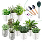 Soliseed Indoor Herb Garden Kit, Transparent Pots with Gardening Tools
