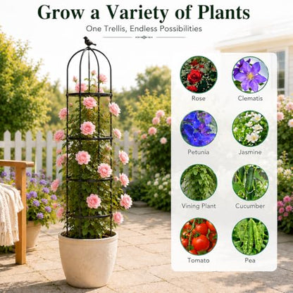 Garden Obelisk Trellis for Climbing Plants,6.3 ft, Black, 2PCS