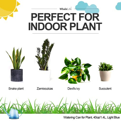 Small Indoor Plant Watering Can Long Spout 1.4L Light Blue - color: Light Blue