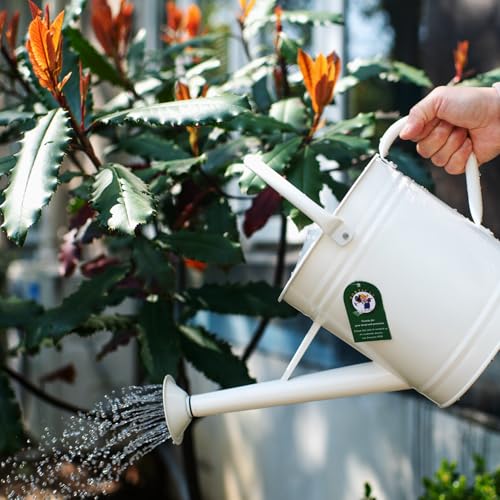 1 Gallon Matte Cream Metal Watering Can, Removable Spout - color: Matte Cream, size: 1 Gallon