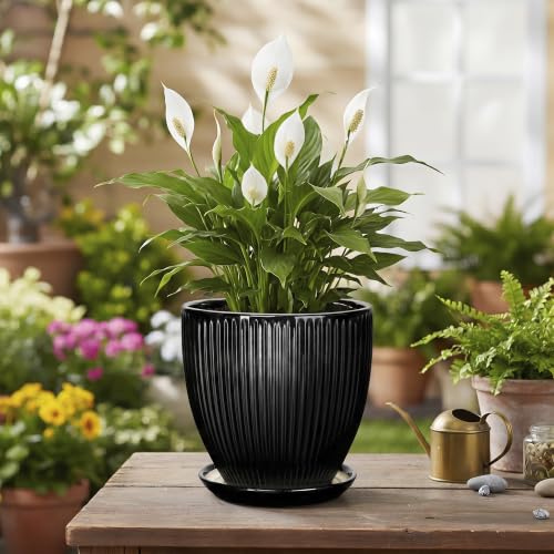 6 Inch Ceramic Planter, Indoor Plant Pots with Saucer, Black - color: Black, size: 6 Inch