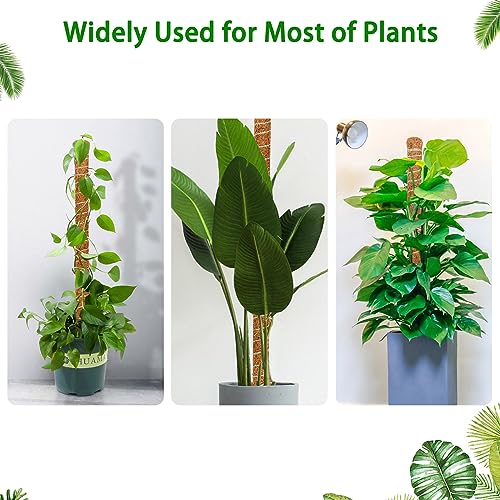 3 Pack 26.8'' Moss Pole for Monstera, Bendable Coco Coir Plant Support Stakes - size: 3 Pack（26.8-Inch）