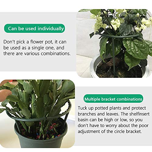 Mwellewm Plant Stakes Small Plant Supports for Indoor Plants Holder Sticks - size: 5.7 x 9.8inch