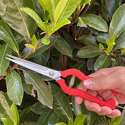 2pack Zsling Extra Long Edge Stainless Steel Pruning Shears Fruit Trees Bonsai Sharp Garden Scissors Tool