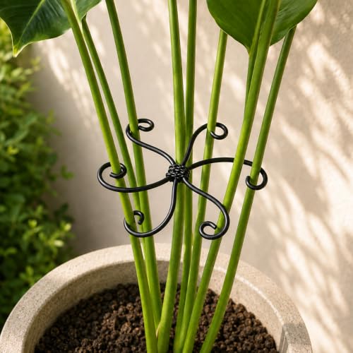 Yohsnor 5PCS Monstera Plant Stem Support-2.75x2.75 inches Black Stem Holder - color: Black, size: 2.75IN*2.75IN