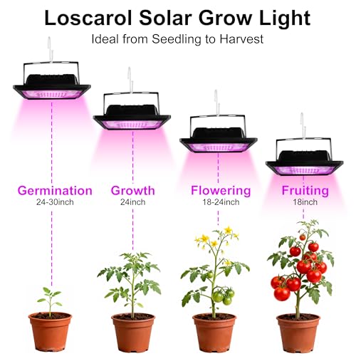 Loscarol Solar Grow Light, Full Spectrum Plant Light with Timer & Remote