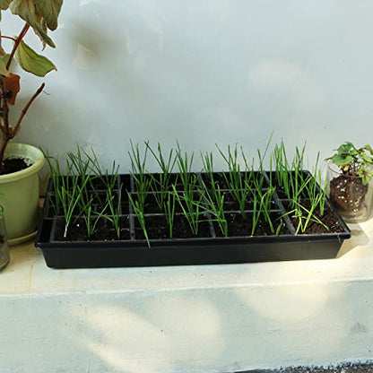 Gardzen 10 Pack Seed Trays Reusable Plant Grow Trays No Drain Holes - size: 21L x 11W x 2.4H