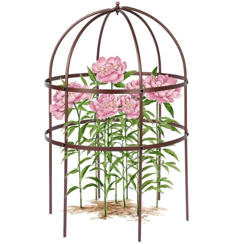 1 Pcs Jardin Bird Cage Plant Support 24" H Large Sturdy Grow-Through Flower Support Peony Cage Climbing Plant Support Trellis Sculptural Garden Decor for Perennial Flowers (Vintage Gold) - color: Vintage Gold, size: 1 Pcs