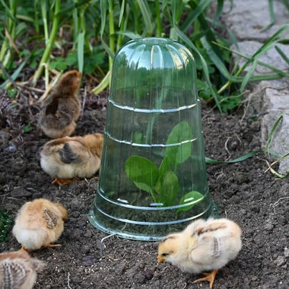 10 Pack Garden Cloches for Plants - color: Green 10pack