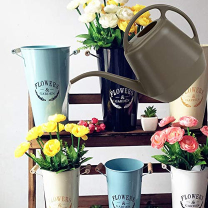 Fasmov Plastic Watering Can, 1-Gallon, Deep Gray - color: Deep Gray