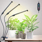 3Head Clip Grow Lights for Indoor Plant, Seed Starting, Bonsai - size: Clip 3Head 27W