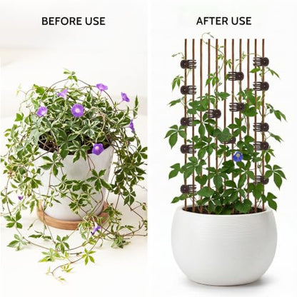 10Pcs Plant Support Stakes with 15Pcs Plant Clips Bendable Plant Sticks