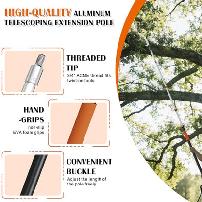 Buyplus 26FT Reach Pole Saws for Tree Trimming, Pole Saw with 5-20FT Telescoping Extension Pole, Pruning Saw with 24" 3X Detachable Saw, Non-Slip Handle, Tree Trimmer for Garden Yard Palms Shrubs