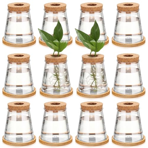 Baderke 12 Packs Propagation Vases for Plants Plastic Plant Propagation with Hole Lid and Bamboo Stand Growing in Water Hydroponic Home Office Desktop Vase Decoration (Cute Style) - color: As Shown in the Picture