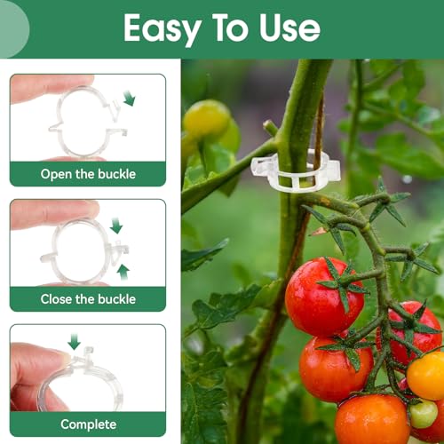 PEASUG 150 Pcs Plant Clips 0.25 Inch Hole for Climbing Tomato Grape Vine