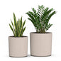 Mayne Haven 12in & 14in Round Fluted Modern Planter Set, Chai, 2-Pack - color: Chai, size: 12in and 14in