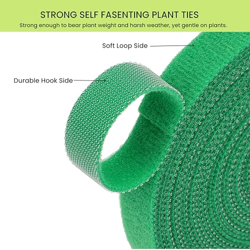 Plant Ties Hook and Loop Garden Tapes 1/2'' Wide Fabric Fastening Tape Double Sided Self Gripping Strap Reusable Adjustable Cable Ties Garden Vines Ties, Soft Plant Tie (1/2 Inch x 32 ft, Green) - size: 1/2 Inch x 32 Feet